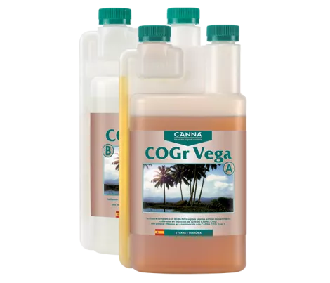 CANNA COGr Vega