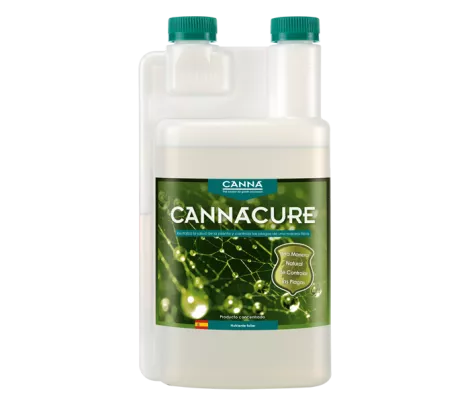 CANNACURE